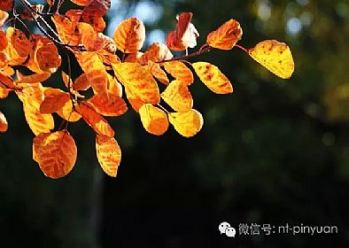 【大事記】輝煌八周年-第三季度員工表彰大會！